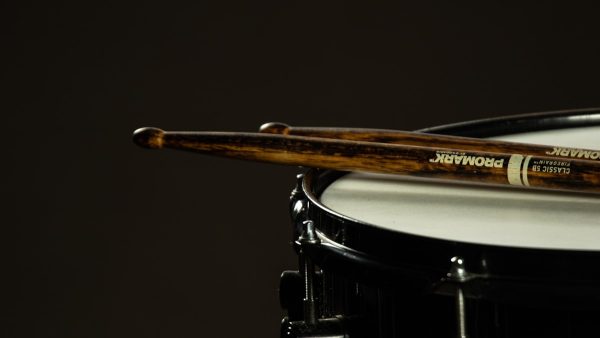 Horn-loaded loudspeaker driver detail showing precision engineering
