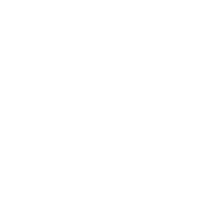 Funkshway Logo Tee